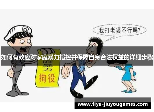 如何有效应对家庭暴力指控并保障自身合法权益的详细步骤