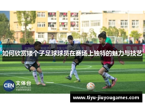 如何欣赏矮个子足球球员在赛场上独特的魅力与技艺